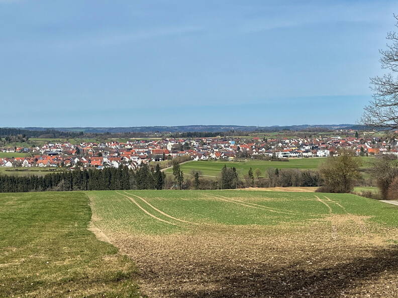 25-03-21 13-41-19 2496